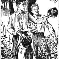 The Case of the Summer Audiobook Binge: Hardy Boys to the&nbsp;Rescue!